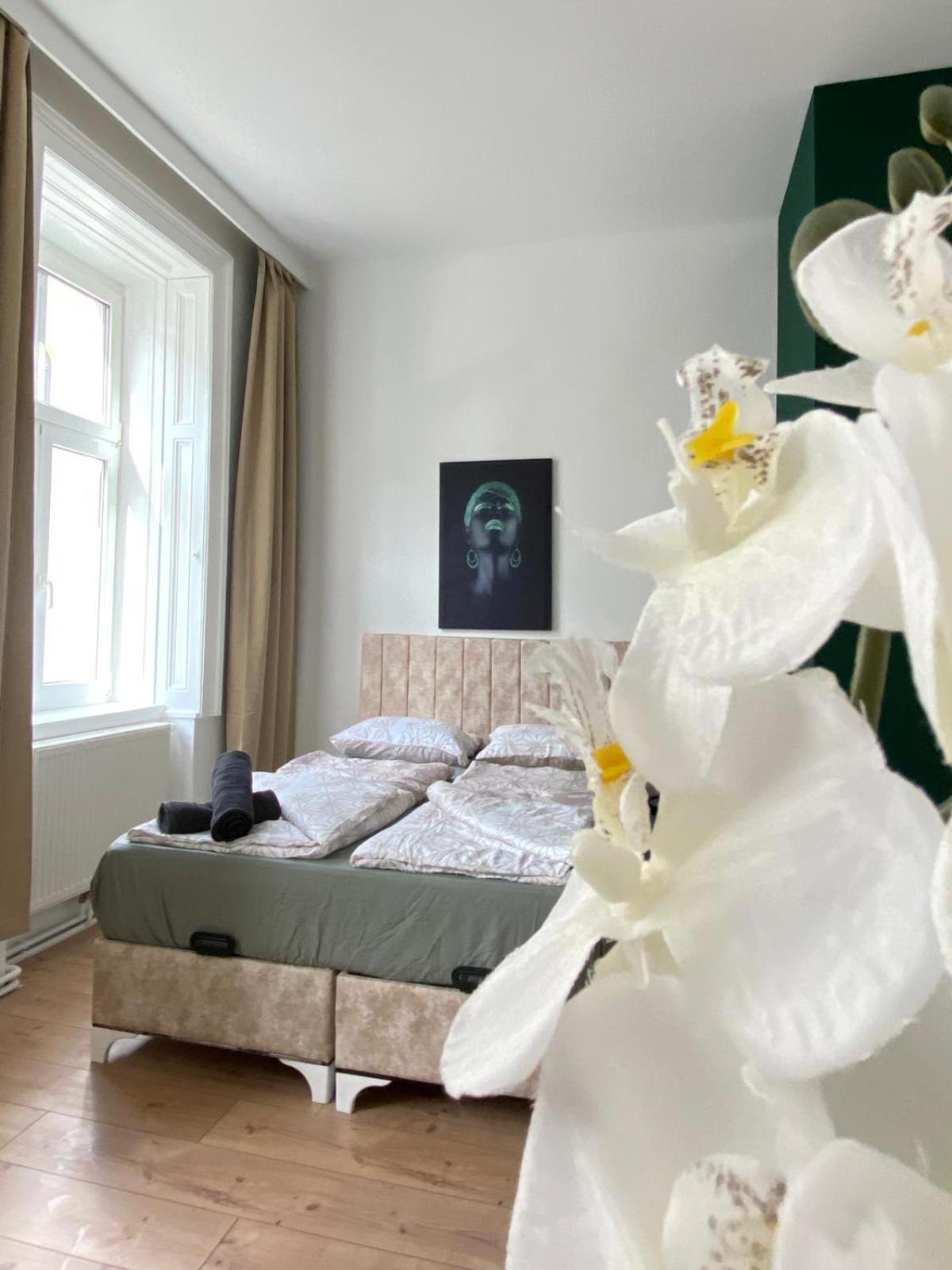 Apartamento 8 Fully Equipped Shared W Terrace Margareten